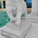 宿迁 白麻花岗岩动物异形石雕-大象